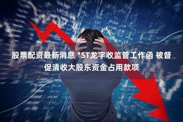 股票配资最新消息 *ST龙宇收监管工作函 被督促清收大股东资金占用款项