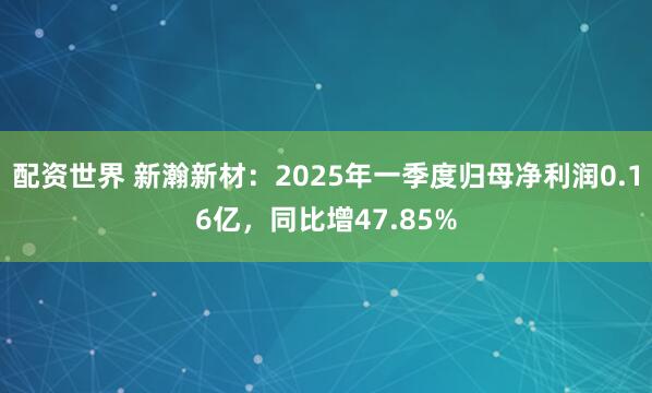配资世界 新瀚新材：2025年一季度归母净利润0.16亿，同比增47.85%